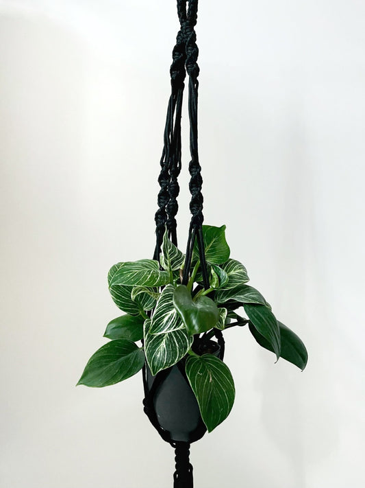 Macrame Plant Hanger - Black - Seedor