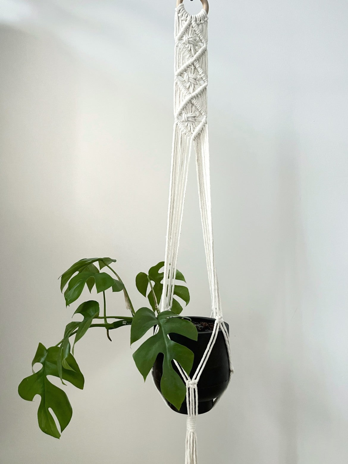 Macrame Plant Hanger with Wooden Ring - Seedor